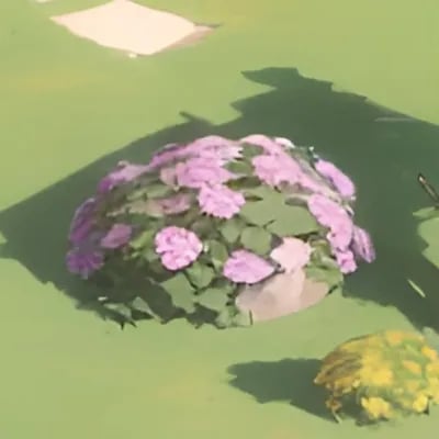 Thumbnail of The Flower Bush